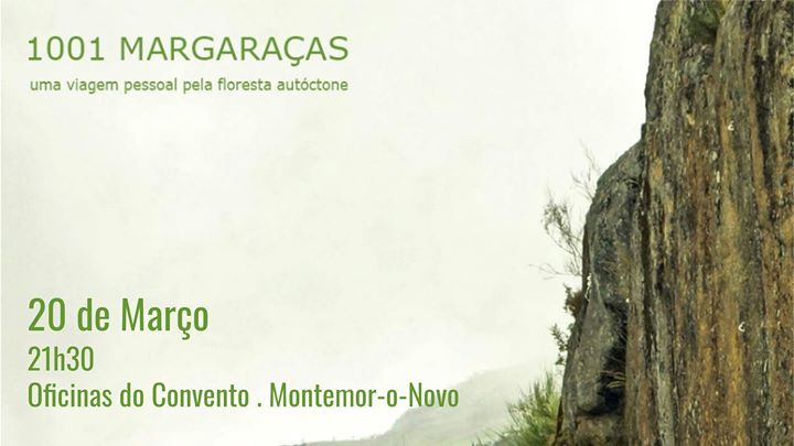 1001 Margaraças em Montemor-o-Novo