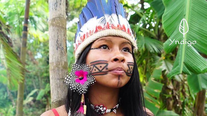 » Curso Cura Xamânica da Amazónia «