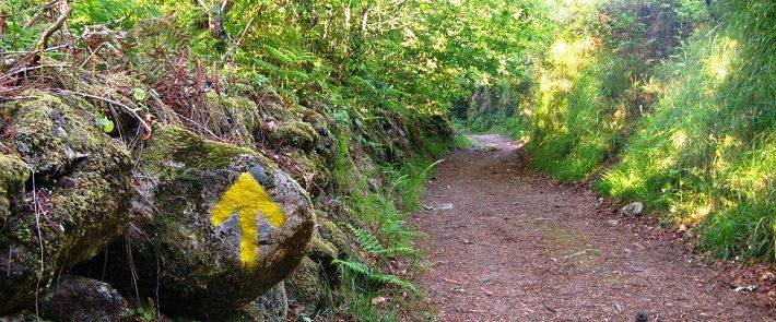 Caminhando rumo a Santiago de Compostela