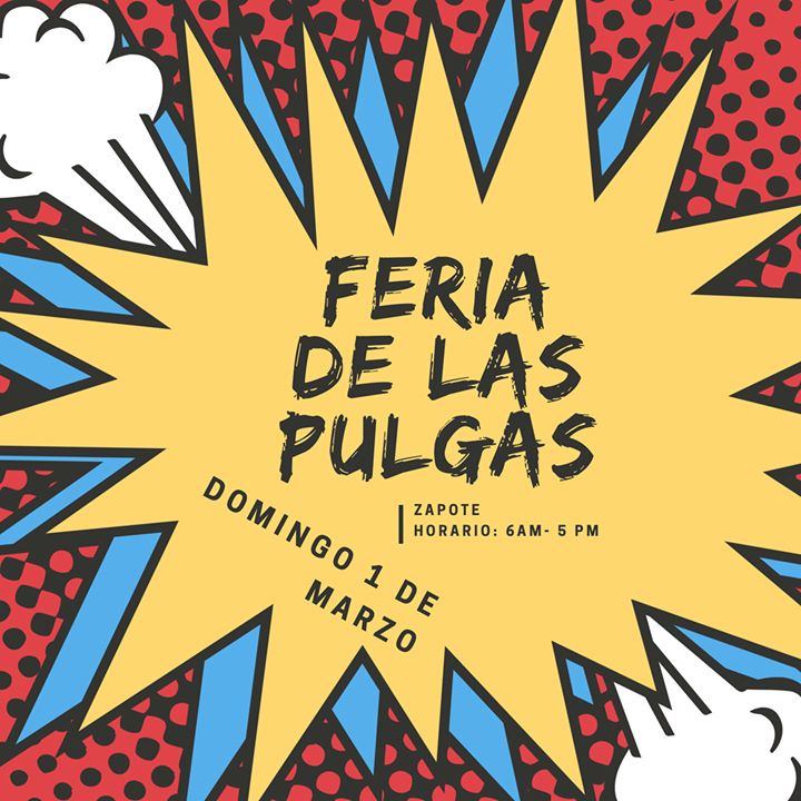 Feria De Las pulgas