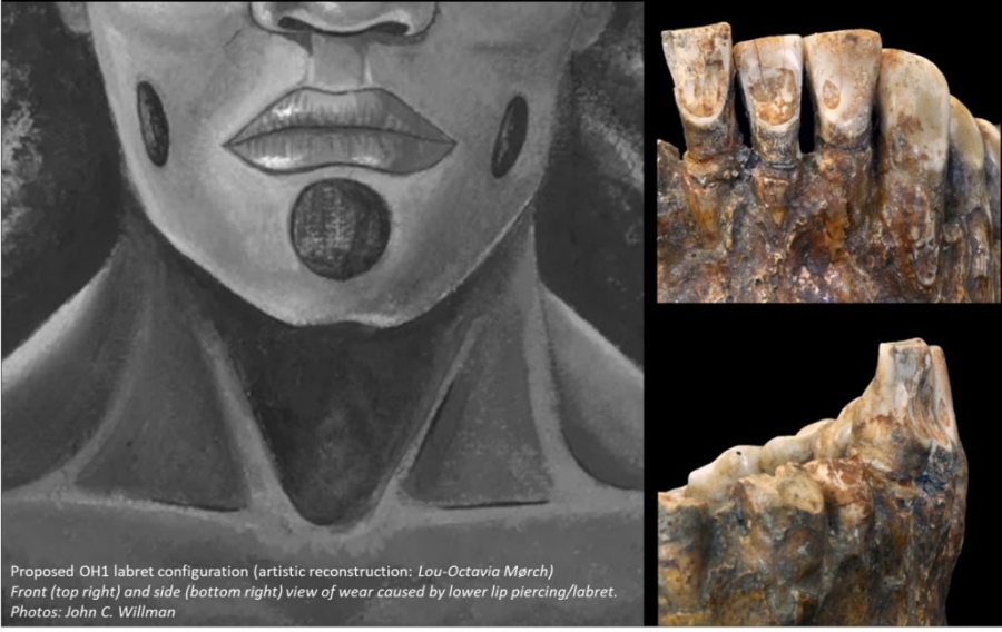 Conferência CIAS: Insights from body modification and mortuary behavior provide evidence for dynamic social identities among Late Pleistocene humans