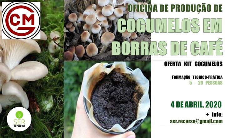 Oficina Online de Produção de Cogumelos em Borras de Café
