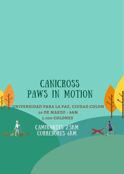 Canicross Paws In Motion