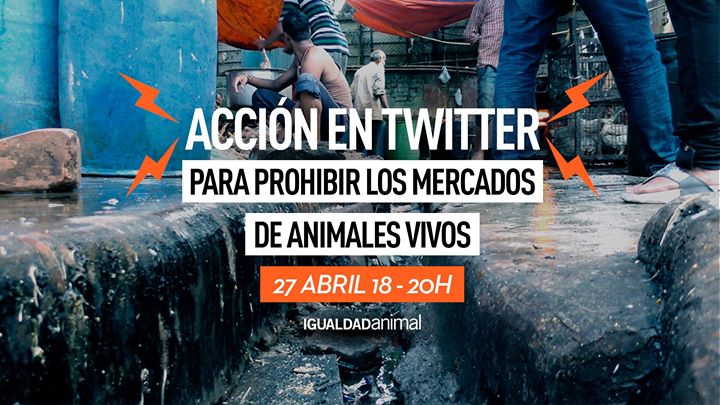 Acción global en Twitter por el fin de los mercados de animales