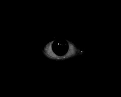 Estancias. Una experiencia virtual de Noche de Camaleones