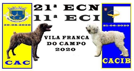 Exposições Caninas Vila Franca do Campo 2020