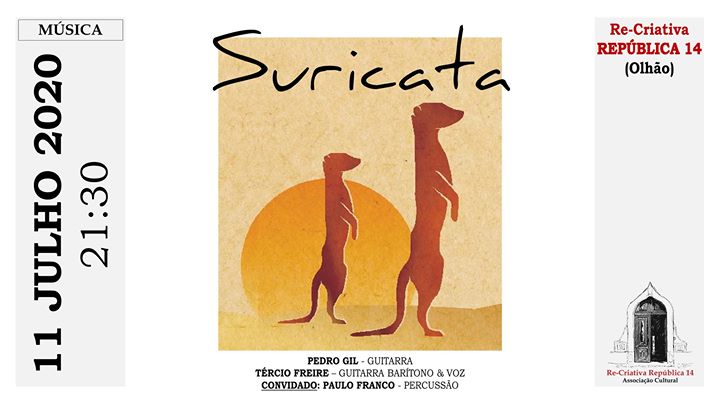Suricata - Pedro Gil, Tércio Freire c/ Paulo Franco - 11 de Jul