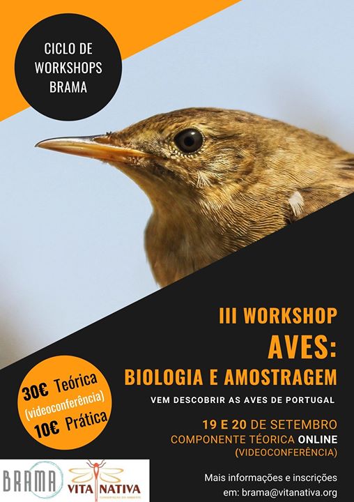 Aves: Biologia e Amostragem - I Ciclo de Workshops Brama