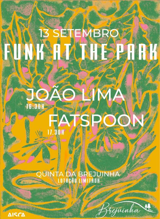 Funk at the Park