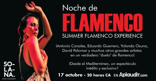Noche de Flamenco