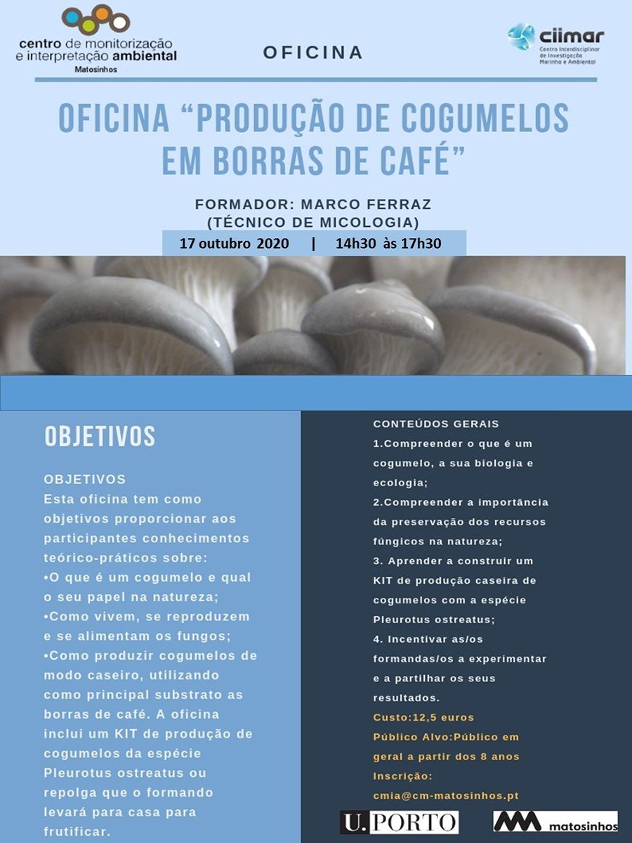 Produção de Cogumelos em Borras de Café