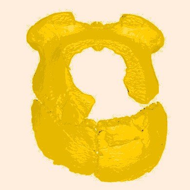 Exposición: 'Cráneo de Koncabas' (MEH)