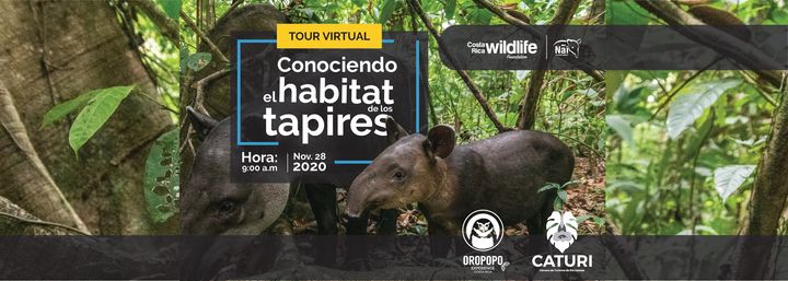 ¡Conociendo el hábitat de los Tapires!