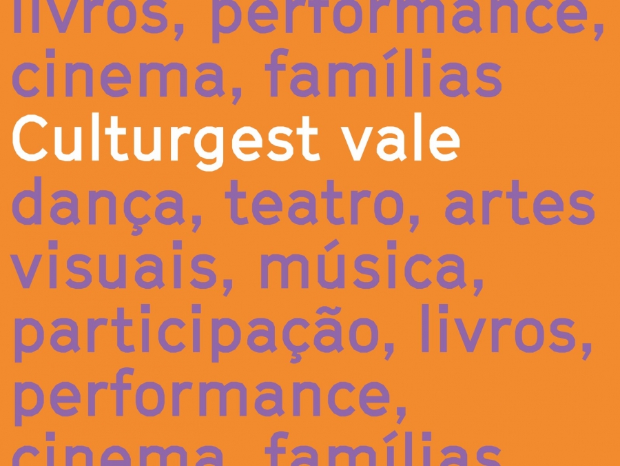 VALE CULTURGEST
                                ESTE NATAL VALE TEATRO, DANÇA, MÚSICA, ARTES VISUAIS, CINEMA…