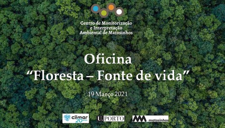 Oficina 'Floresta - Fonte de vida' - evento on line
