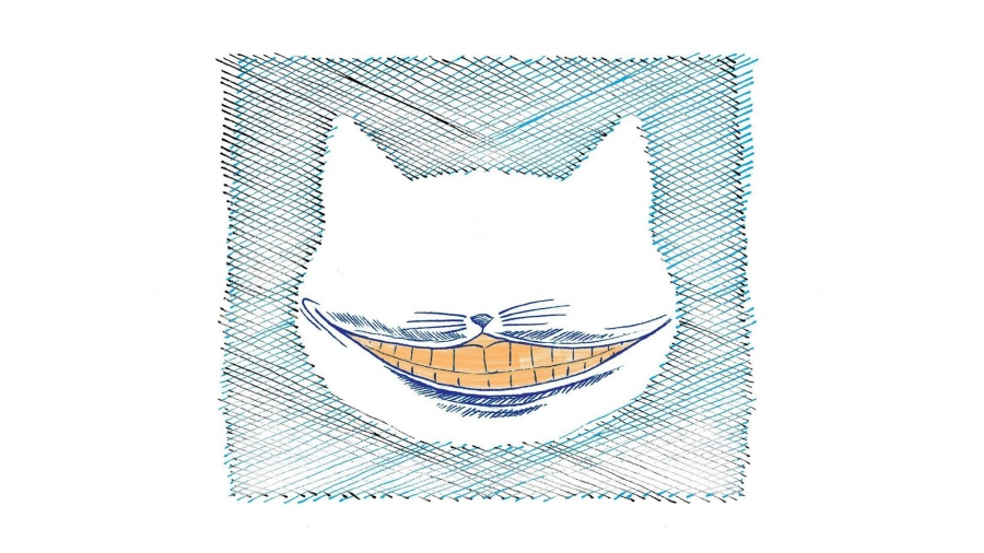 Um sorriso sem gato