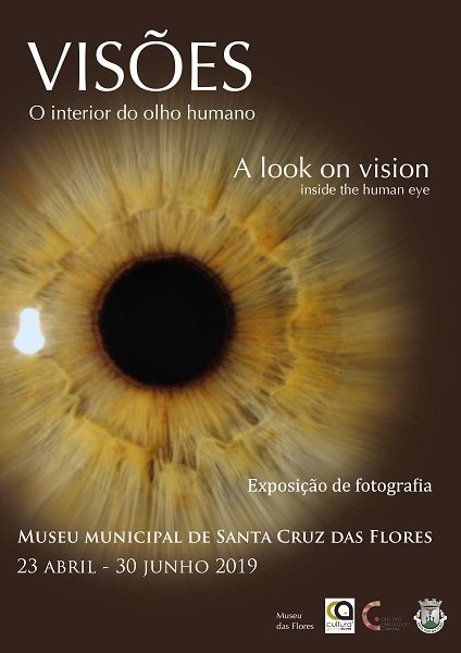 Visões - o interior do olho humano