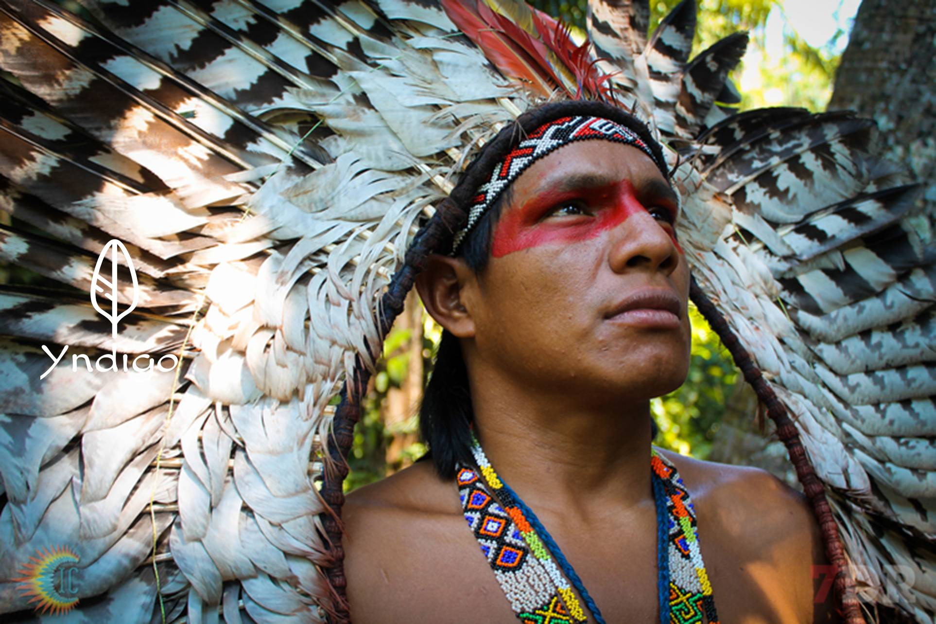 » Cura Xamânica da Amazónia Nível 1 «
