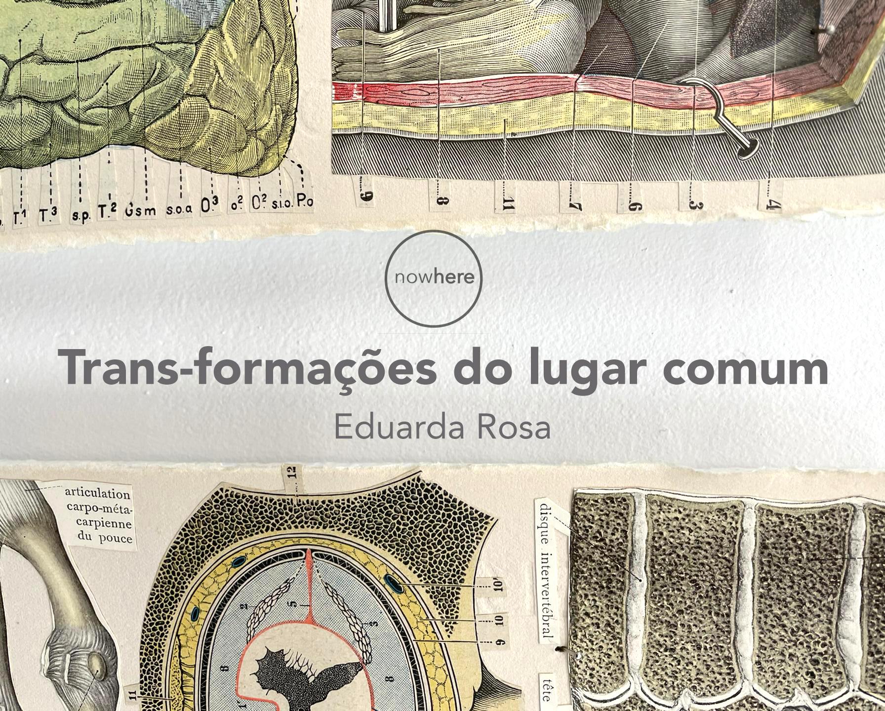 Exposição 'Trans-formações do lugar comum' de Eduarda Rosa