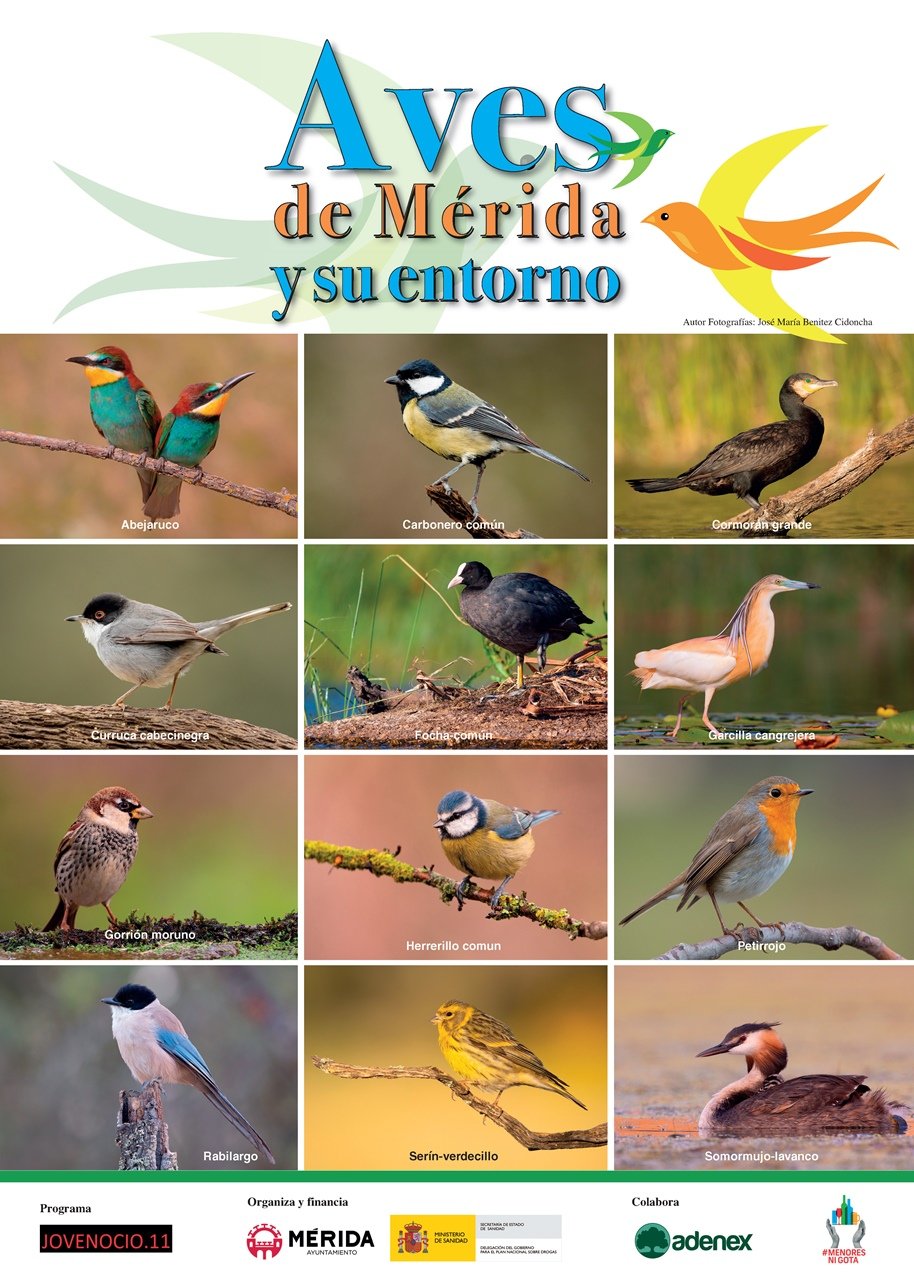 ‘Mes de las Aves’ de Mérida