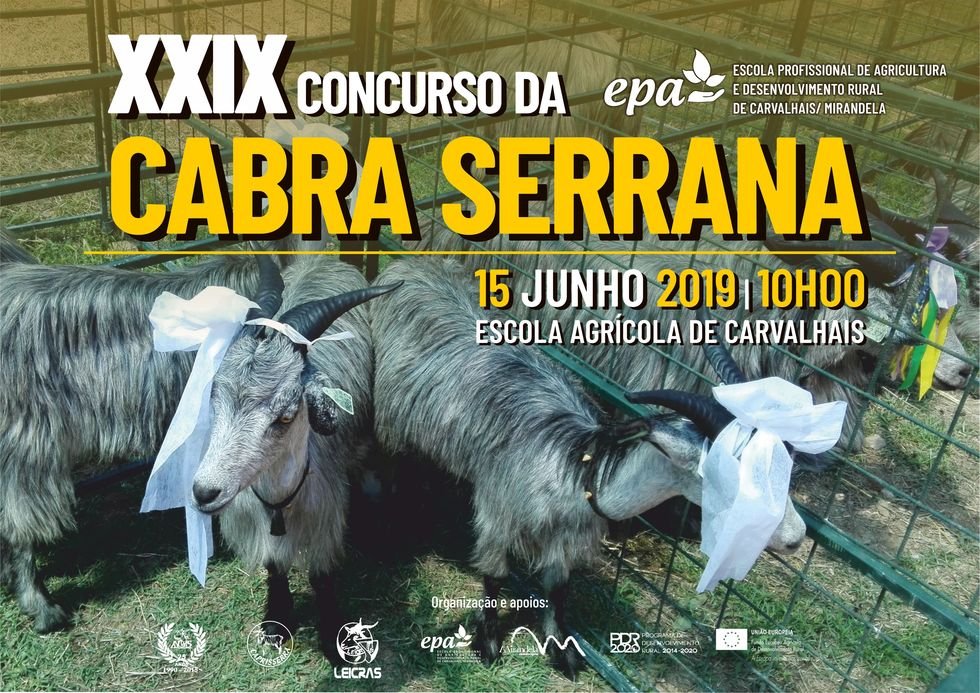 XXIX Concurso da Cabra Serrana