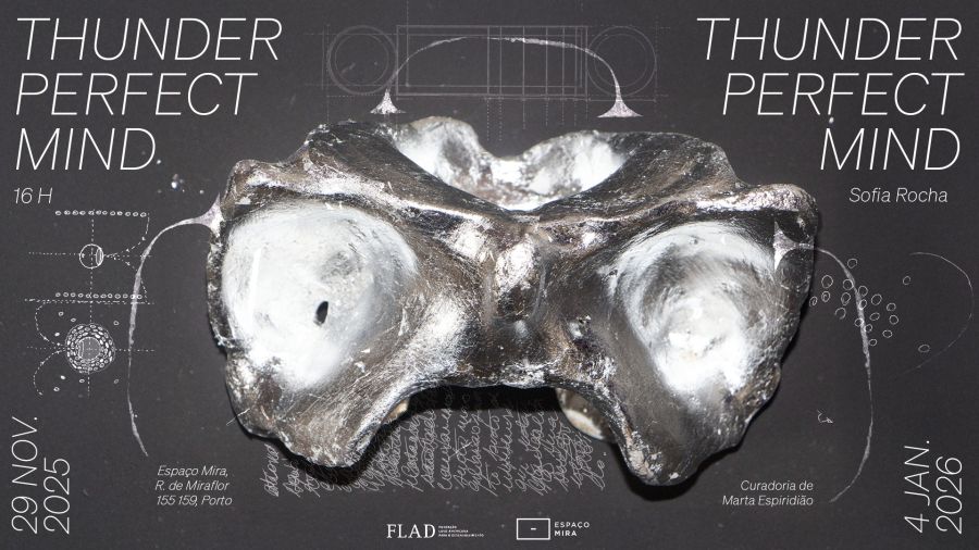 Inauguração da exposição 'Thunder, Perfect Mind' de Sofia Rocha