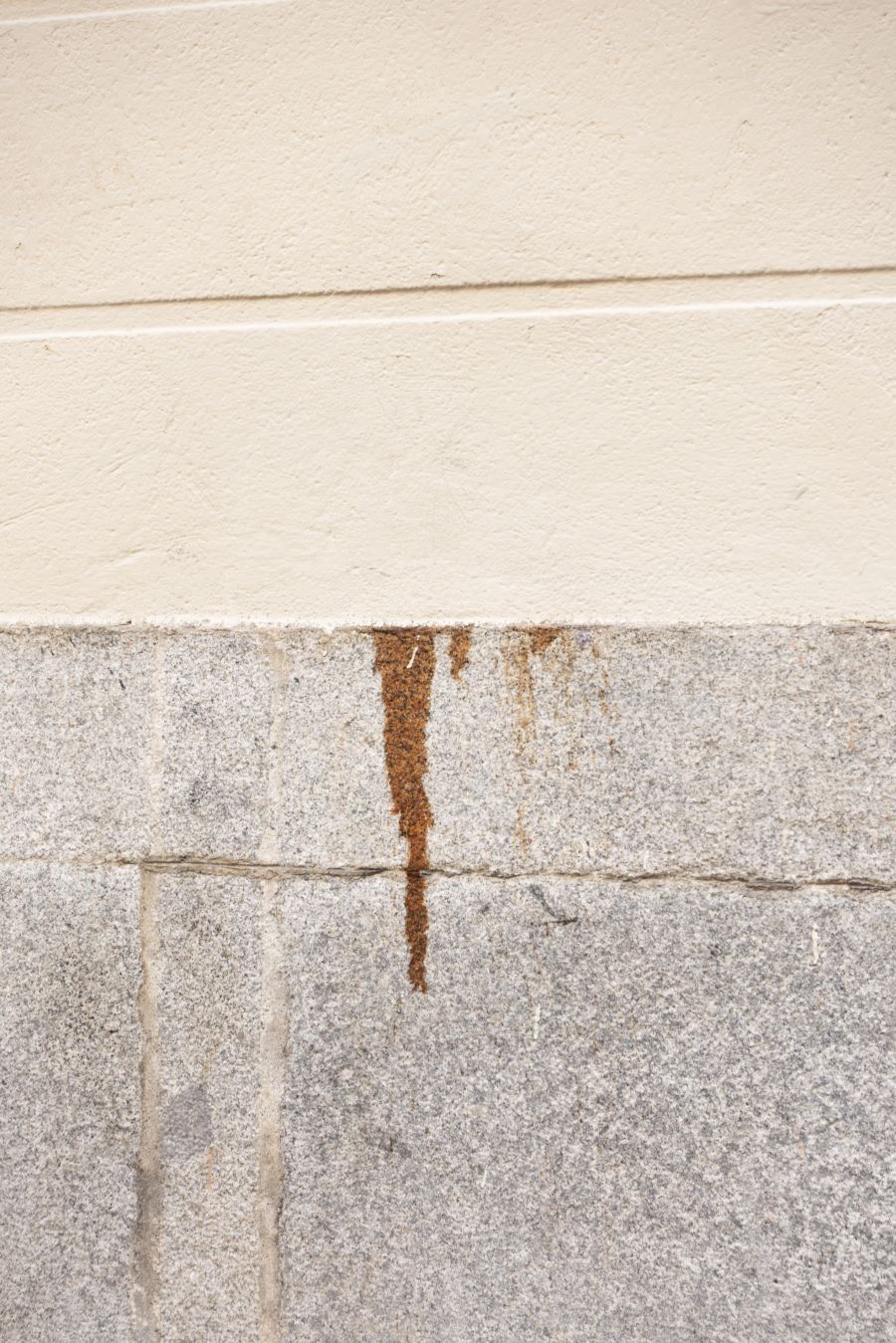 Exposição Matéria Vibrante de Catarina Botelho