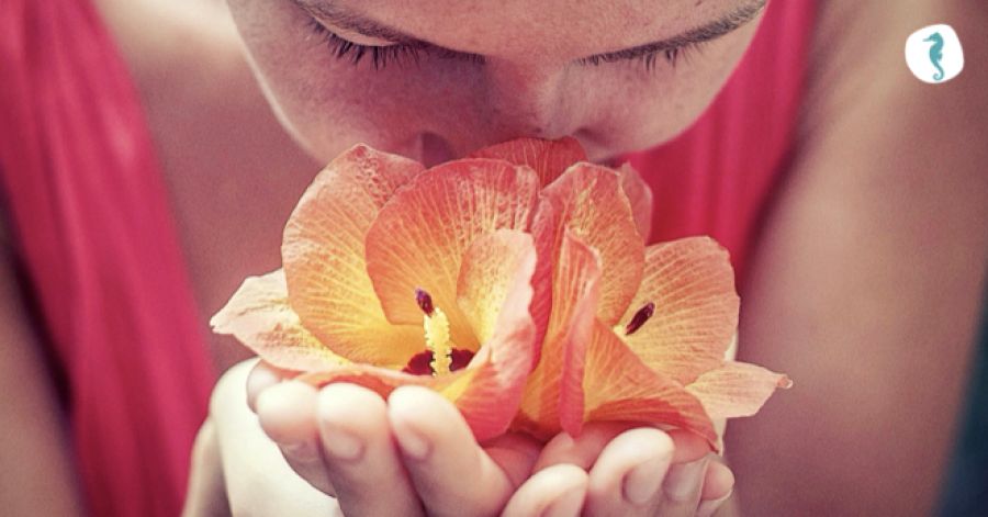 A BELEZA E A CONSCIÊNCIA ÉTICA - Dia Mundial da Biodanza 2026 e 12º Aniversário Vida É Movimento