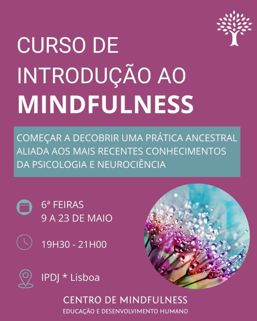 Curso de Introdução ao Mindfulness