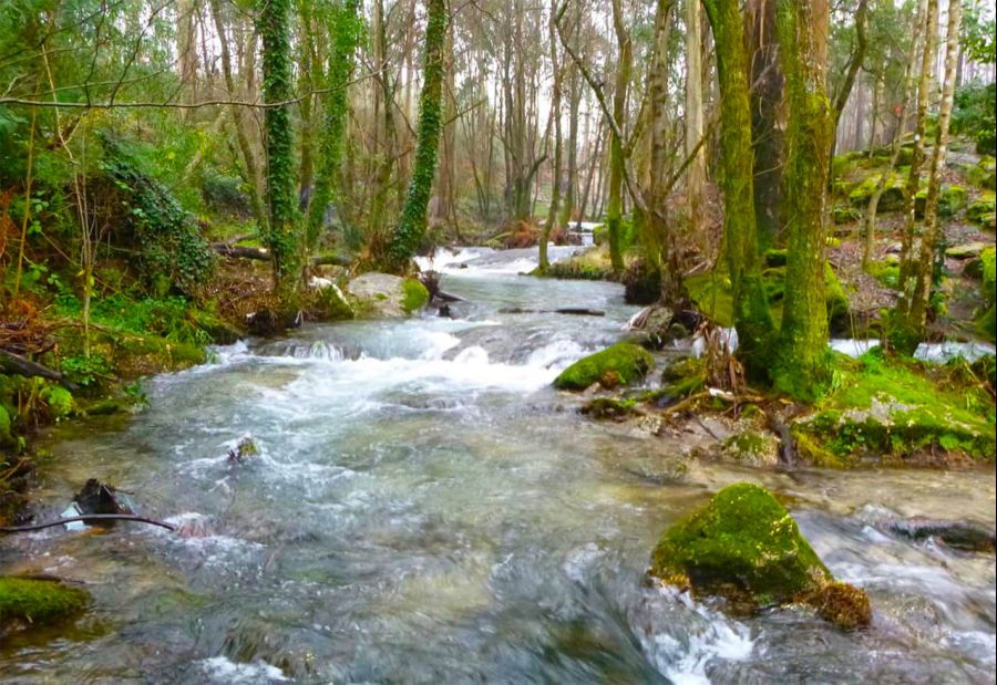 'Quedas de Fervença e Rio Leça – Sto Tirso : 5 de Abril de 2025      