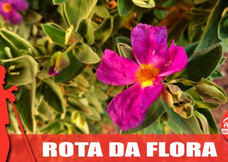 Caminhada · Rota da Flora · Sesimbra