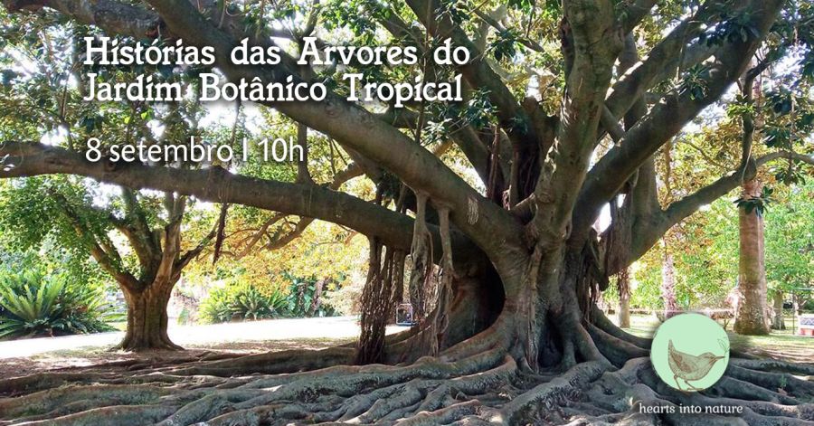 Histórias das Árvores do Jardim Botânico Tropical