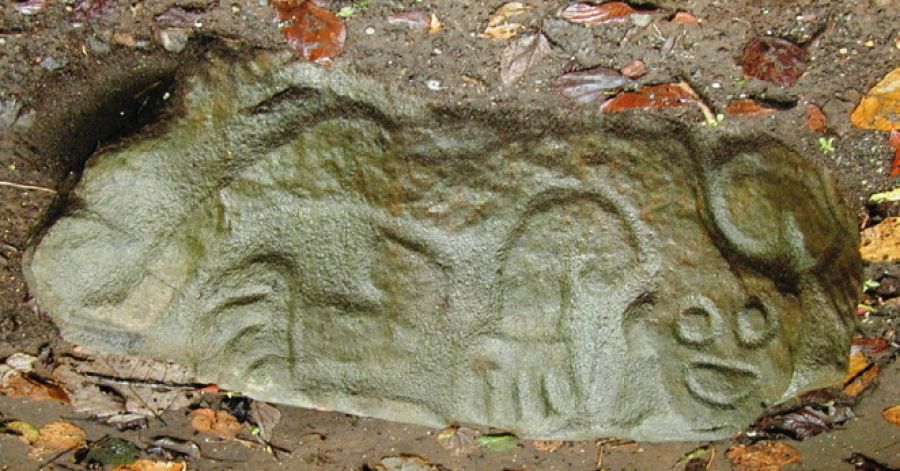 Petroglifos naturalistas. Luis Hurtado de Mendoza