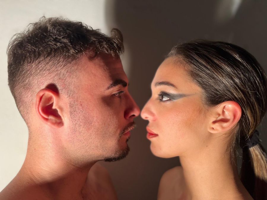 SUCCO. Documentos de un asesino sin motivos