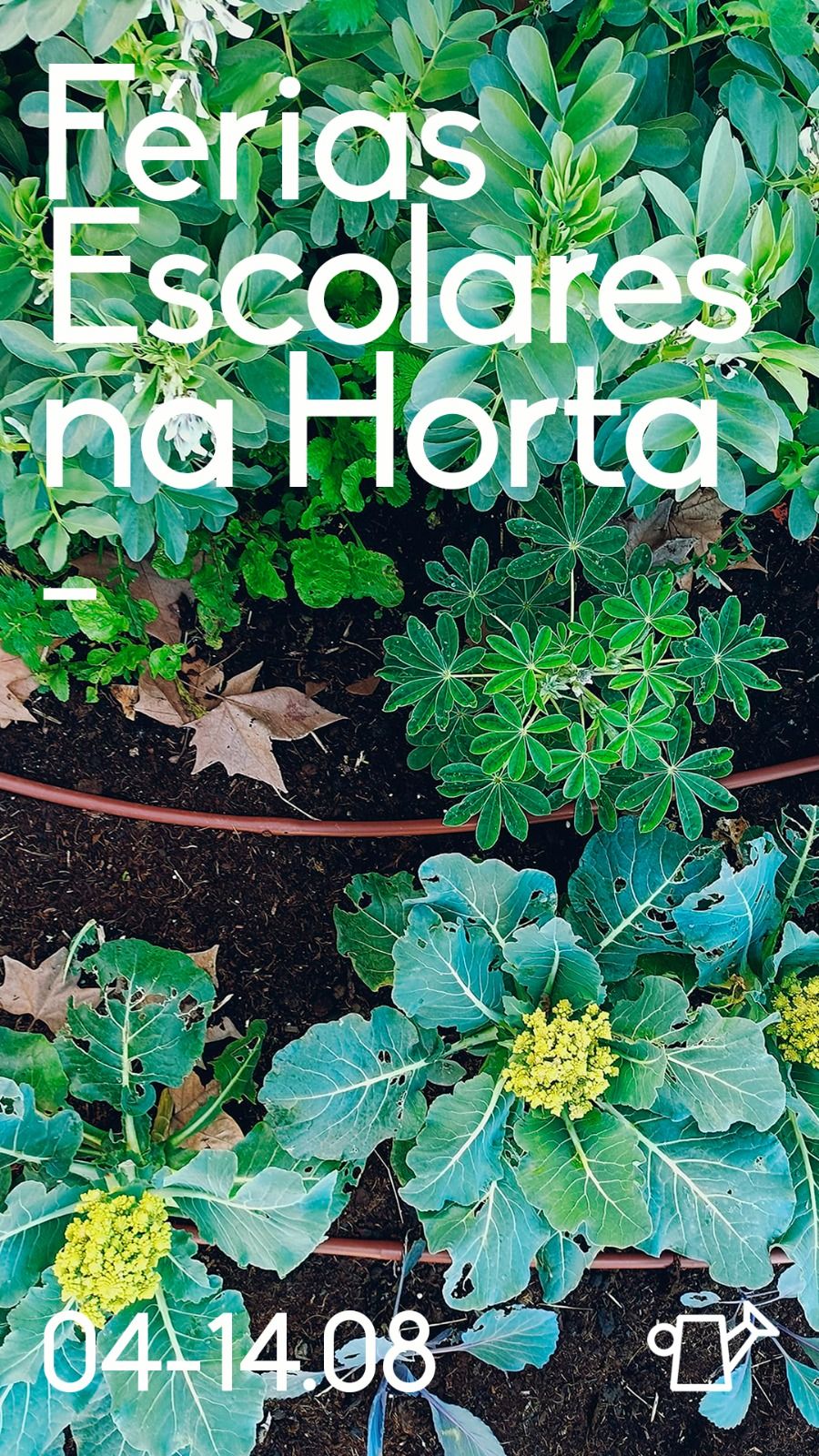 Férias Escolares na Horta_Crescer na horta