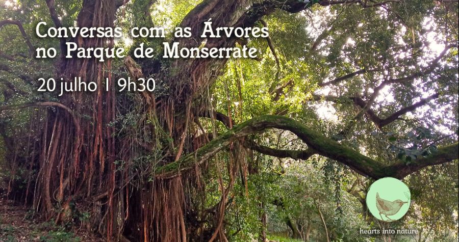 Conversas com as Árvores no Parque de Monserrate