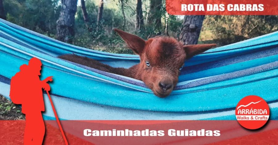 Caminhada . Rota das Cabras . Azeitão 