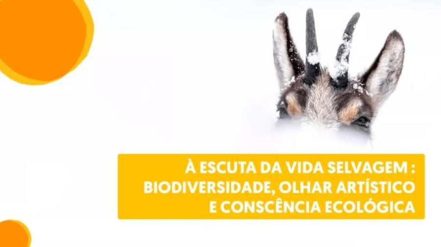 Encontro Francófono 2026 «À escuta da vida selvagem: biodiversidade, olhar artístico e consciência ecológica»