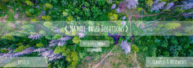 Nature-based solutions - Solutions based on Nature