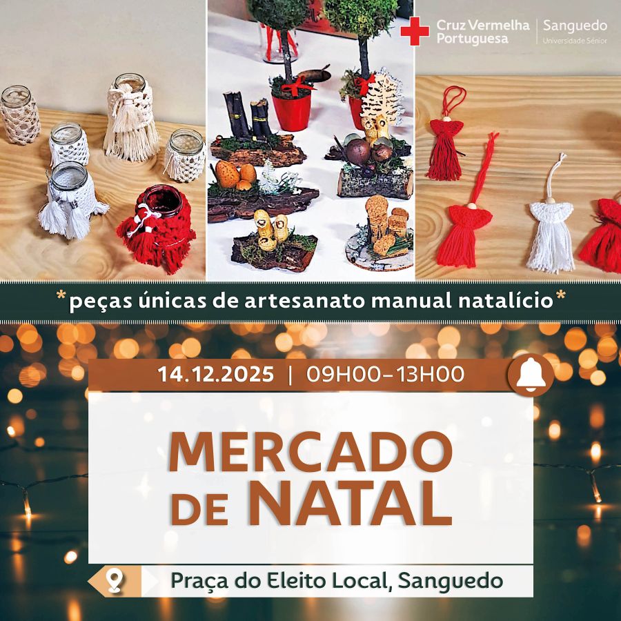 Mercado de Natal | Cruz Vermelha de Sanguedo