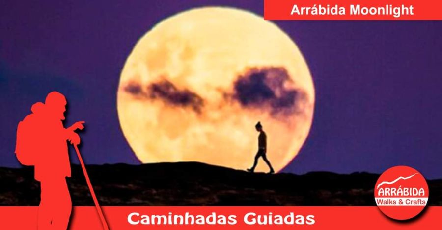 Caminhada . Arrábida Moonlight . Palmela