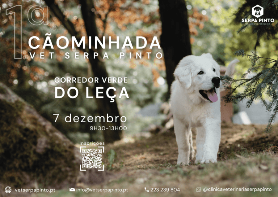 1ª Cãominhada Vet Serpa Pinto Corredor Verde do Leça 2024