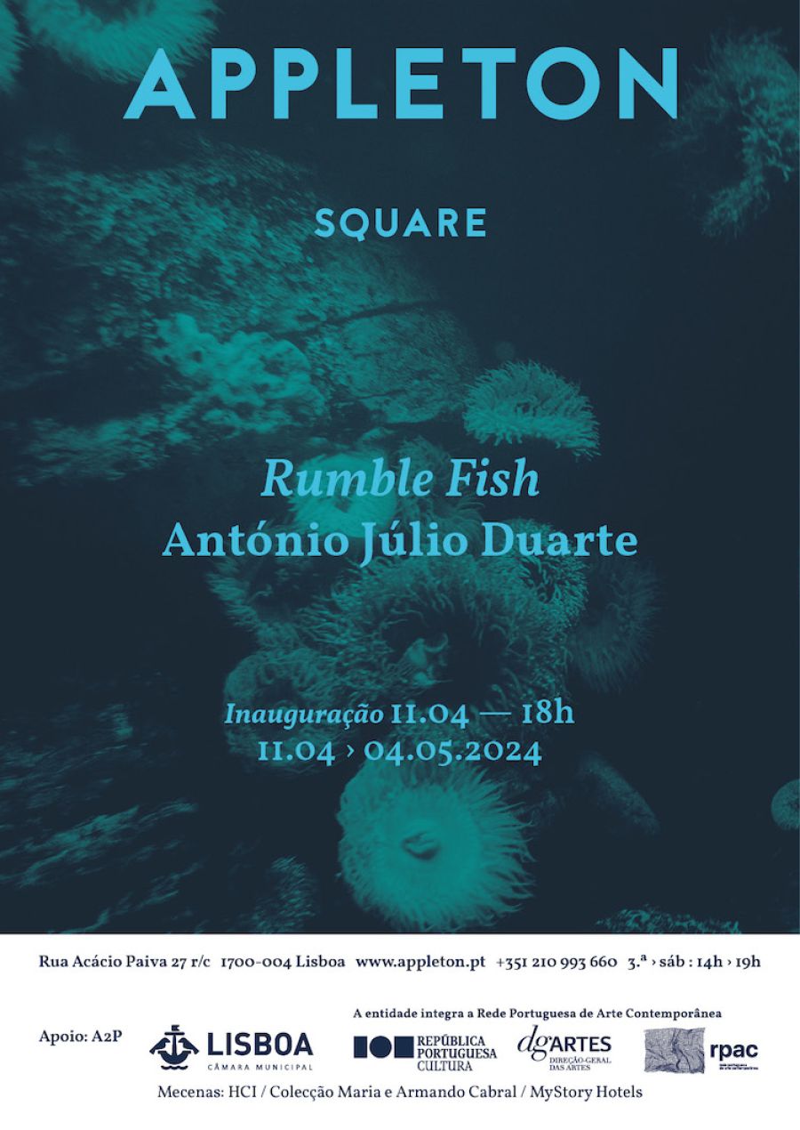 António Júlio Duarte: Rumble Fish