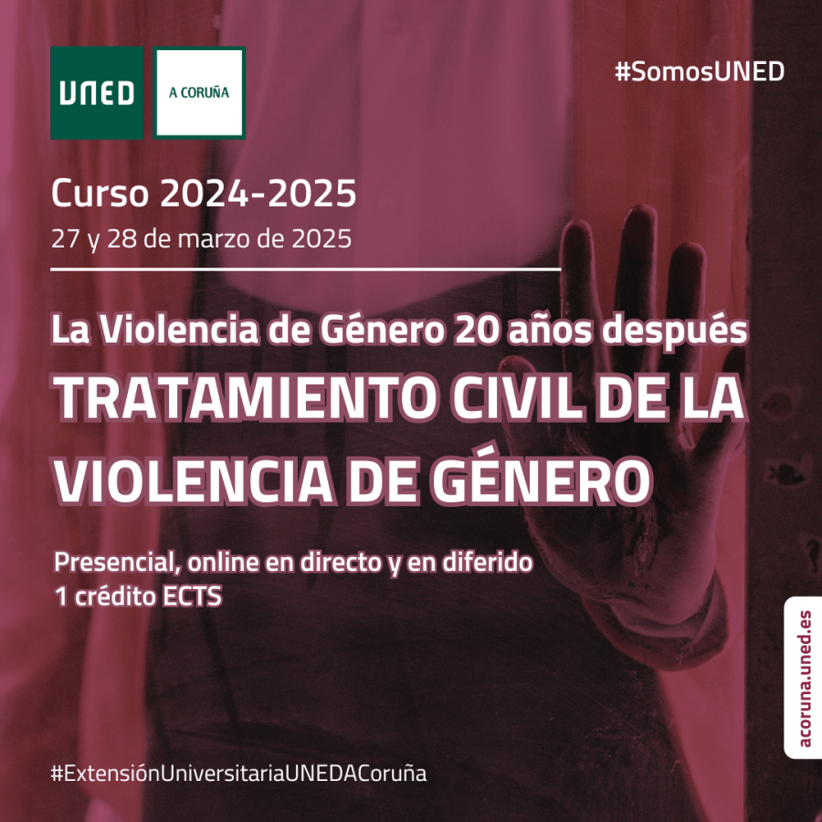 La Violencia de Género 20 años después. Tratamiento Civil de la Violencia de Género