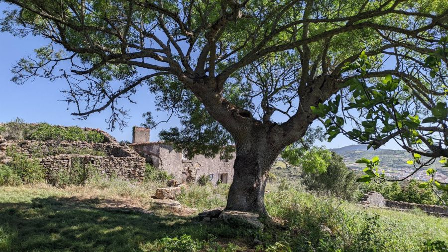 Aldeia abandonada de Broas e Ribeira da Cabrela
