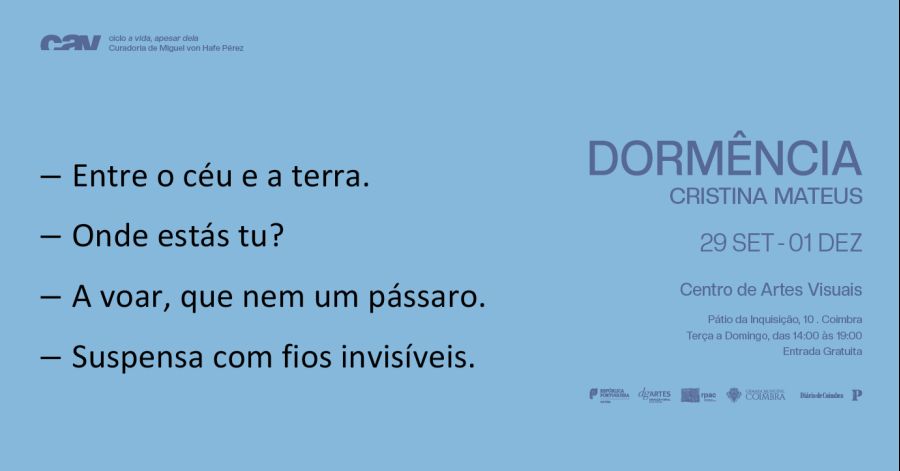 Dormência — Cristina Mateus