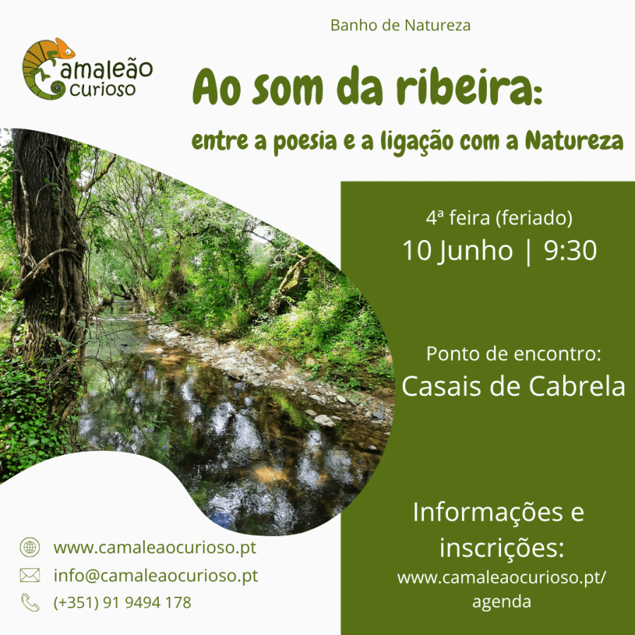 Ao som da ribeira: entre a poesia e a ligação com a natureza