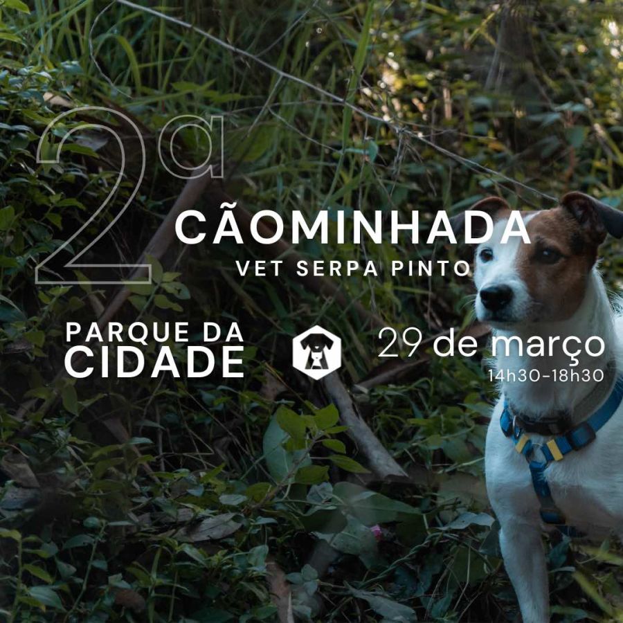 2ª Cãominhada Vet Serpa Pinto - Parque da Cidade