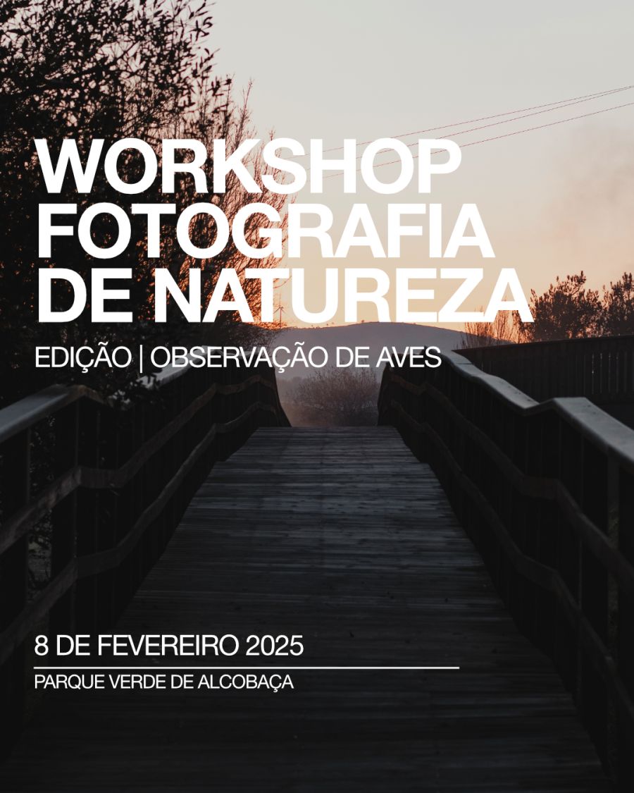 Workshop Fotografia de Natureza