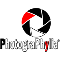 PhotograPhylia
